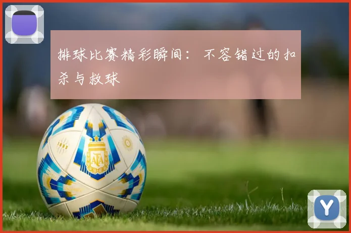 排球比赛精彩瞬间：不容错过的扣杀与救球