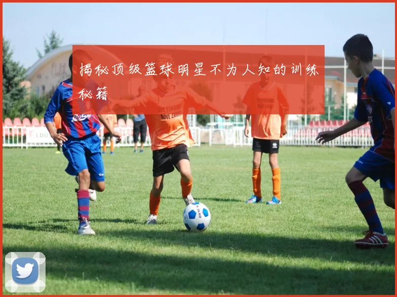 揭秘顶级篮球明星不为人知的训练秘籍