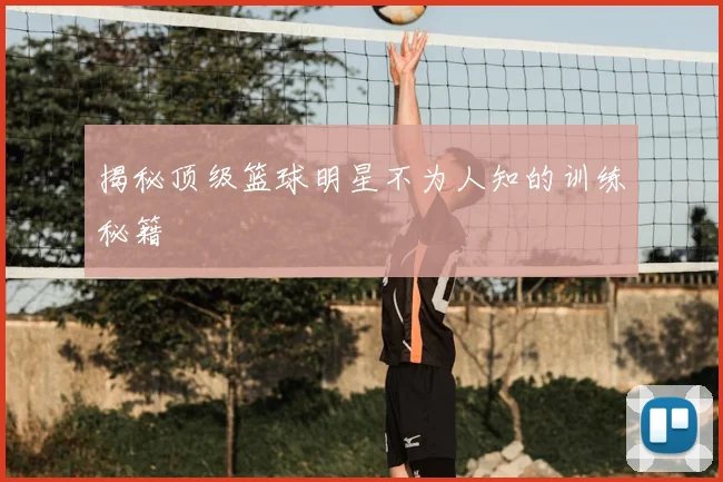揭秘顶级篮球明星不为人知的训练秘籍