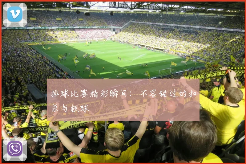 排球比赛精彩瞬间：不容错过的扣杀与救球